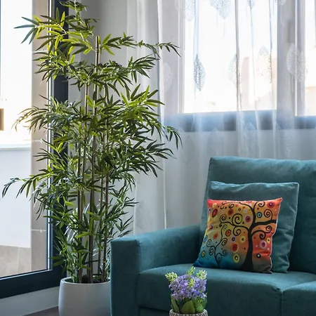 Apartment Ii