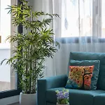 Appartement Ii